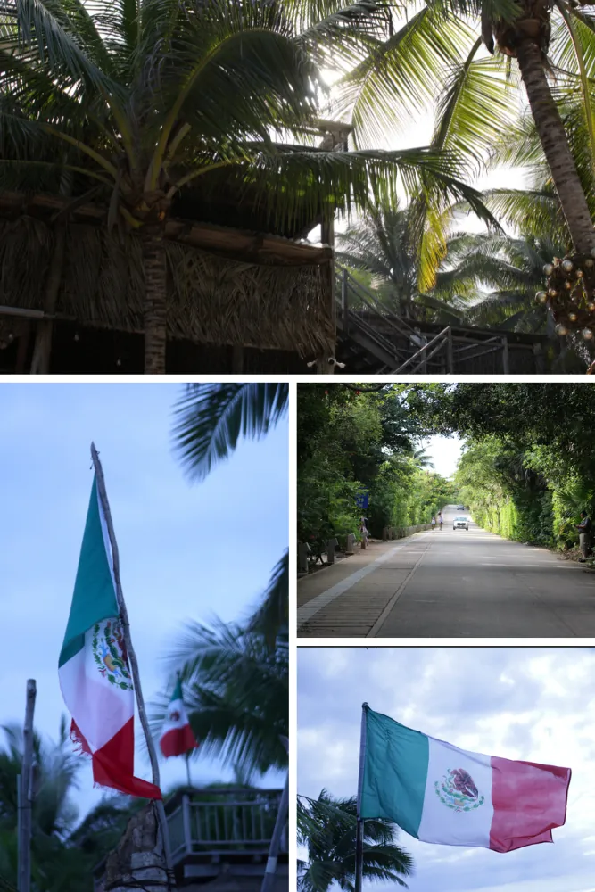 Collage from Gabriel’s México trip shows palm trees, a leafy road and Mexican flags.